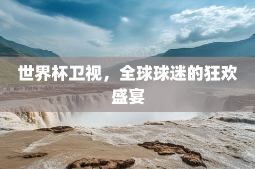 世界杯卫视，全球球迷的狂欢盛宴眉山市正发家政服务有限公司