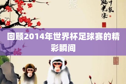 回顾2014年世界杯足球赛的精彩瞬间眉山市正发家政服务有限公司