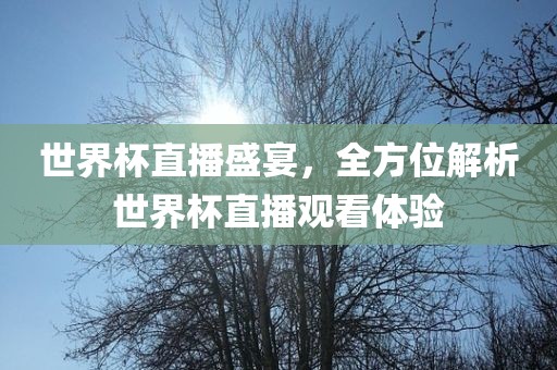 世界杯直播盛宴，全方位解析眉山市正发家政服务有限公司世界杯直播观看体验
