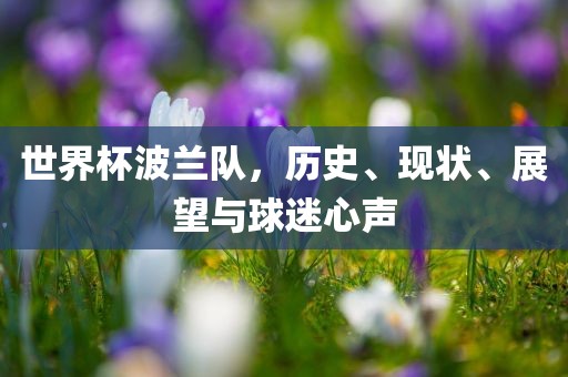 世界杯波兰队，历史、现状、展望与球迷心声眉山市正发家政服务有限公司