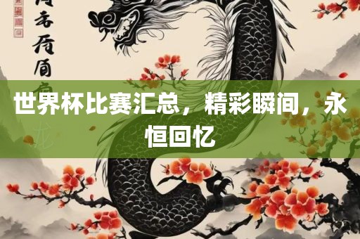 眉山市正发家政服务有限公司世界杯比赛汇总，精彩瞬间，永恒回忆
