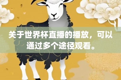 关于世界杯直播的播放，可以通过多个途径观看。