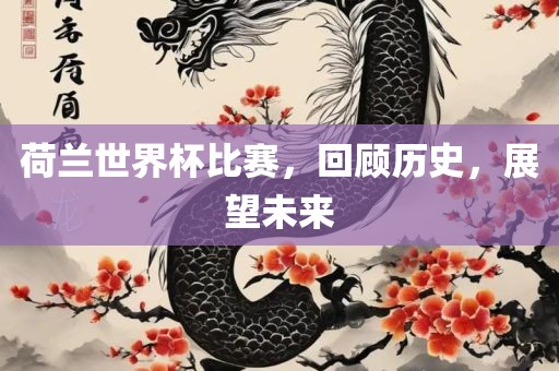 荷兰世界杯比赛，回顾历史，展望未来眉山市正发家政服务有限公司
