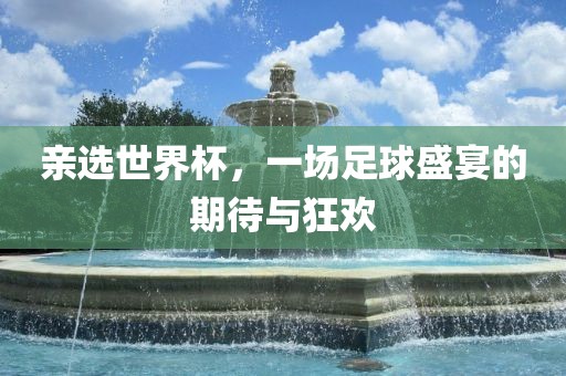 亲选世界杯，一场足球盛宴的期待与狂欢眉山市正发家政服务有限公司