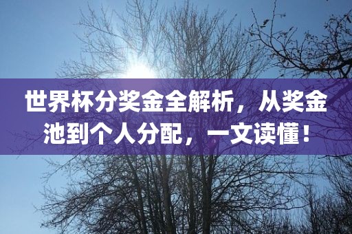 世界杯分奖金全解析，从奖金池到个人分配，一文读懂！