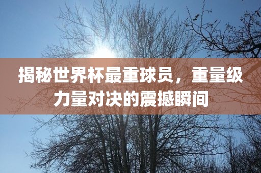 揭秘世界杯最重球员，重量级力量对决的震撼瞬间眉山市正发家政服务有限公司