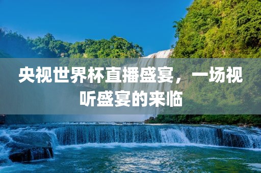 央视世界杯直播盛宴，一场视听盛宴的来临眉山市正发家政服务有限公司