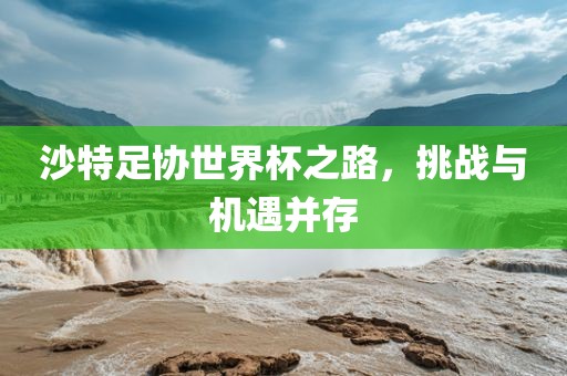 沙特足协世界杯之路，挑眉山市正发家政服务有限公司战与机遇并存