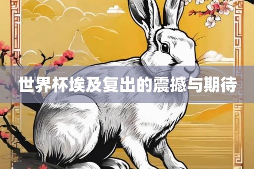 世界杯埃及复出的震撼与期待眉山市正发家政服务有限公司