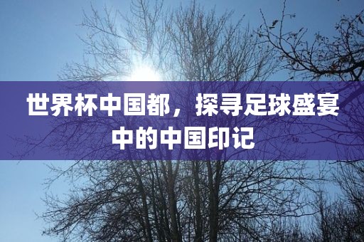 世界杯中国都，探寻足球盛宴中的中国印记眉山市正发家政服务有限公司