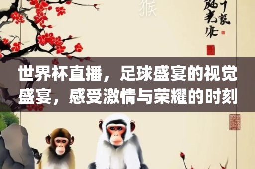 世界杯直播，足球盛宴的视觉盛宴，感受激情与荣耀的时刻眉山市正发家政服务有限公司