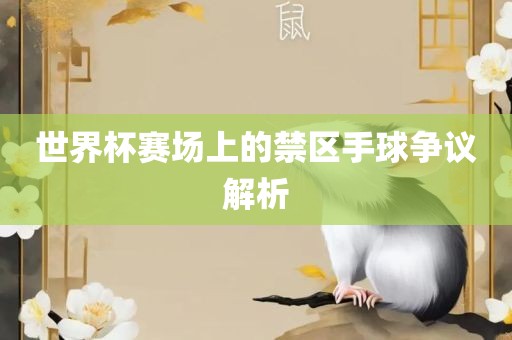 眉山市正发家政服务有限公司世界杯赛场上的禁区手球争议解析