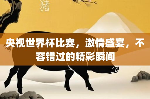 央视世界杯比赛，激情盛宴，不容错过的精彩瞬间眉山市正发家政服务有限公司