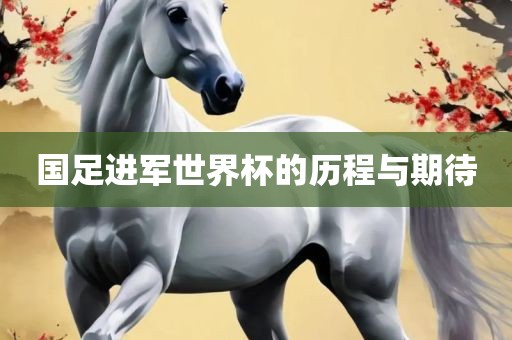 国足进军世界杯的历程与期待眉山市正发家政服务有限公司