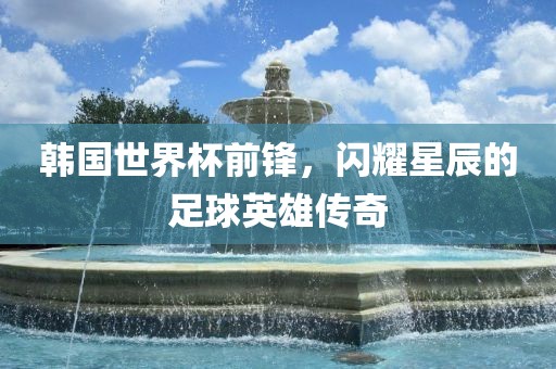 韩国世界杯前锋，闪耀星辰的足球英雄传奇眉山市正发家政服务有限公司