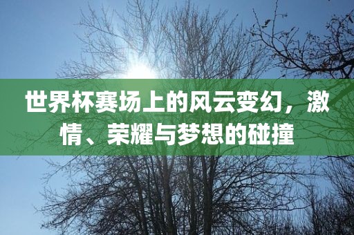 世界杯赛场上的风云变幻，激情、荣耀与梦想的碰撞眉山市正发家政服务有限公司