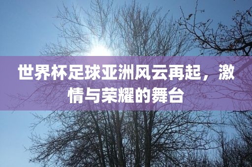 世界杯足球亚洲风云再起，激情与荣耀的舞台眉山市正发家政服务有限公司