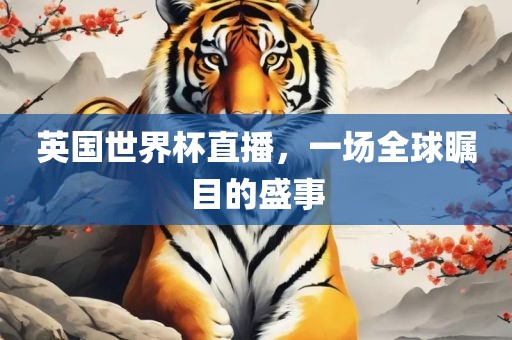 英国世界杯直播，一场全球瞩目的盛事眉山市正发家政服务有限公司