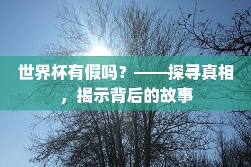世界杯有假吗？——探寻真相，揭示背后的故事