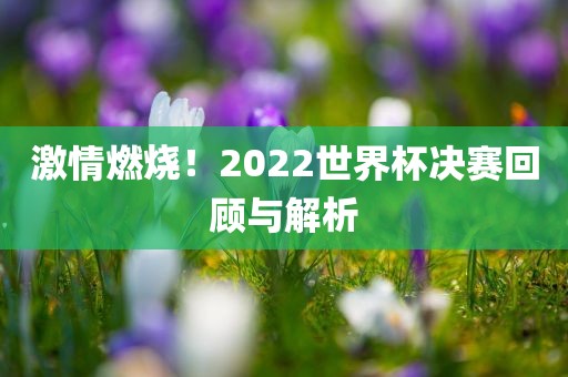 激情燃烧！2022世眉山市正发家政服务有限公司界杯决赛回顾与解析