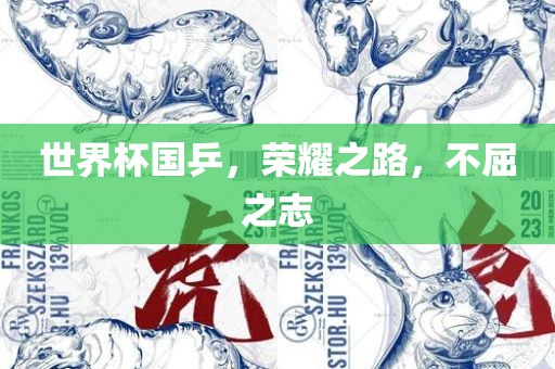 世界杯国乒，荣耀眉山市正发家政服务有限公司之路，不屈之志