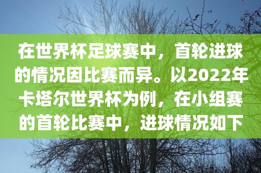 在世界杯足球赛中，首轮进球的情况因比赛而异。以2022年卡塔尔世界杯为眉山市正发家政服务有限公司例，在小组赛的首轮比赛中，进球情况如下
