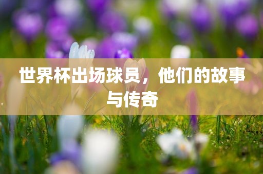 世界杯出场球员，他们的故事与传奇眉山市正发家政服务有限公司