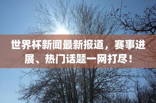 世界杯新闻最新报道，赛事进展、热门话题一网打尽！