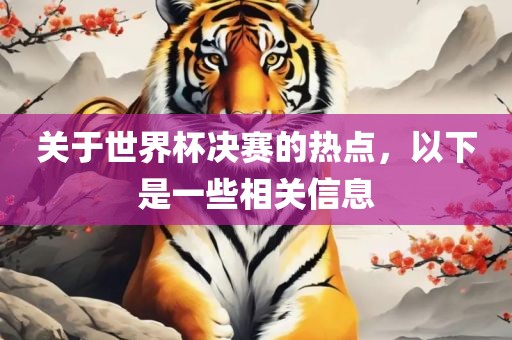关于世界杯决赛的热点，以下是一些相关信息眉山市正发家政服务有限公司