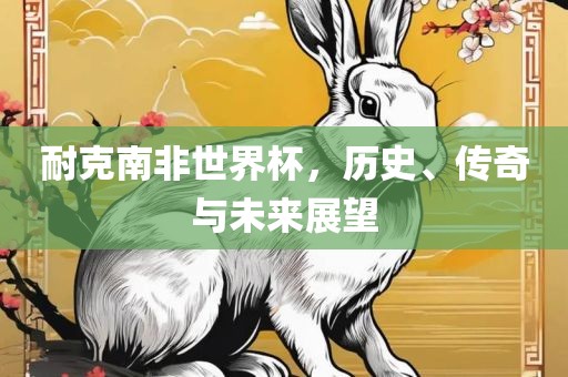 耐克南非眉山市正发家政服务有限公司世界杯，历史、传奇与未来展望