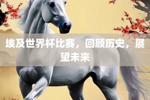 埃及世界杯比赛，回顾历史，展望未来眉山市正发家政服务有限公司