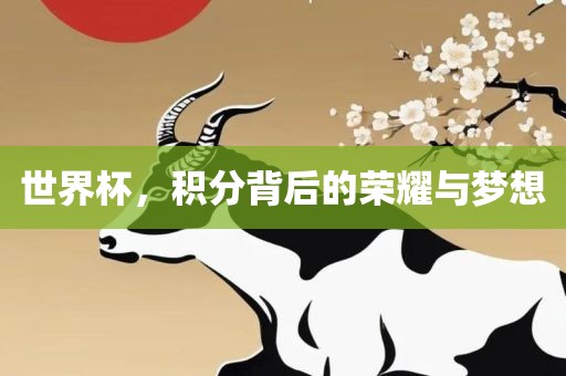 世界杯，积分背后的荣耀与梦想