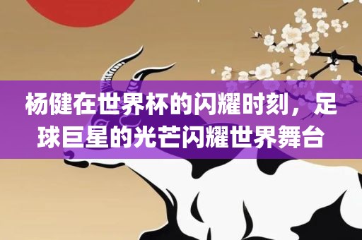 杨健在世界杯的闪耀时刻，足球巨眉山市正发家政服务有限公司星的光芒闪耀世界舞台