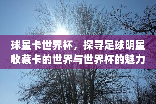 球星卡世界杯，探寻足球明星收藏卡的世界与世界杯的魅力眉山市正发家政服务有限公司