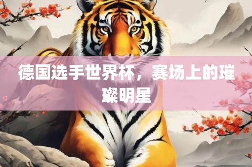 德国选手世界杯，赛场上的璀璨明星