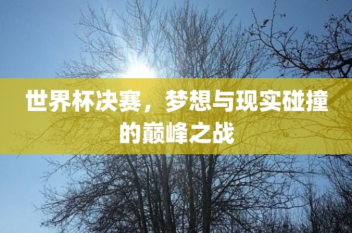 世界杯决赛，梦想与现实碰撞的巅峰之战眉山市正发家政服务有限公司