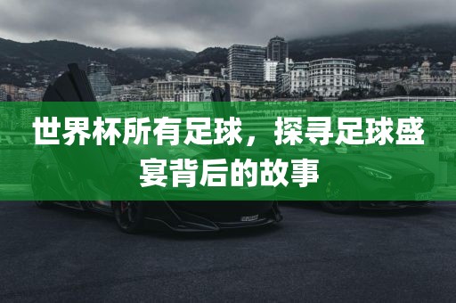 世界杯所有足球，探寻足球盛宴背后的故事眉山市正发家政服务有限公司