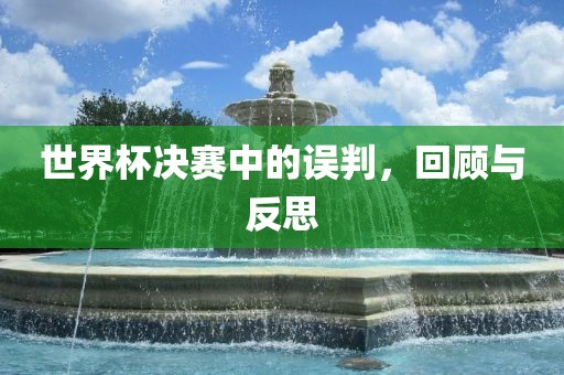 世界杯决赛中的误判，回顾与反思眉山市正发家政服务有限公司