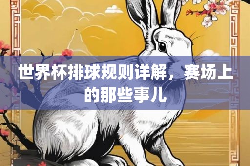 世界杯排球规眉山市正发家政服务有限公司则详解，赛场上的那些事儿