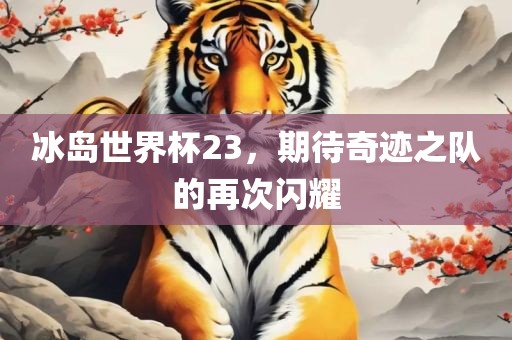 冰岛世界杯23，期待奇迹之队的再次闪耀