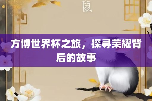 方博世界杯之旅，探寻荣耀背后的故事