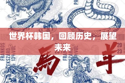 世界杯韩国，回顾历史，展望未来眉山市正发家政服务有限公司