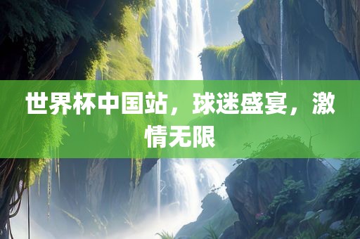 世界杯中国站，球迷盛宴，激情无限眉山市正发家政服务有限公司