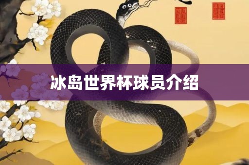 眉山市正发家政服务有限公司冰岛世界杯球员介绍