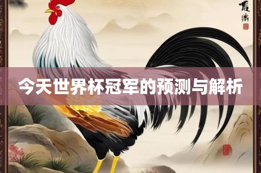 今天世界杯冠军的预测与解析