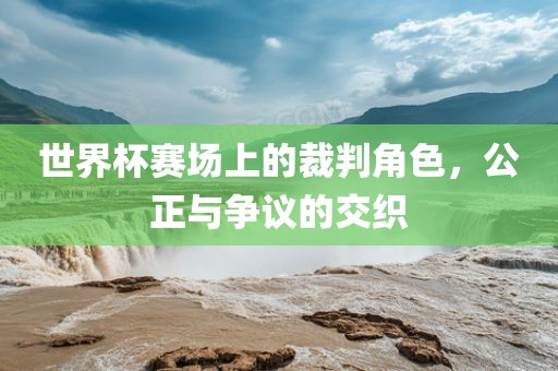 世界杯赛场上的裁判角色，公正与争议的交织眉山市正发家政服务有限公司