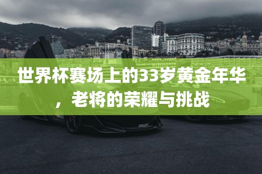 世界杯赛场上的33岁黄金年华，老将的荣耀与挑战眉山市正发家政服务有限公司