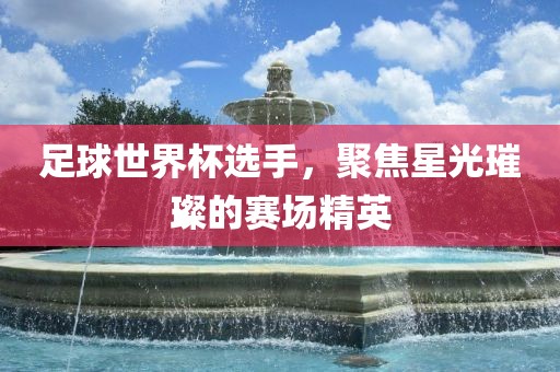 足球世界杯选手，聚焦星光璀璨的赛场精英眉山市正发家政服务有限公司