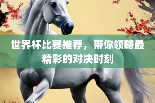 世界杯比赛推荐，带你领略最精彩的对决时刻眉山市正发家政服务有限公司