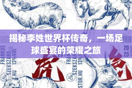 揭秘李姓世界杯传奇，一场足球盛宴的荣耀之旅眉山市正发家政服务有限公司